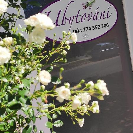 Apartman Cafe U Kordulky Ratiskovice エクステリア 写真